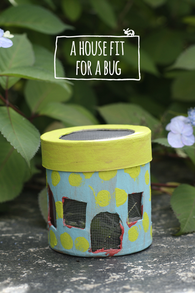 bug house summer craft