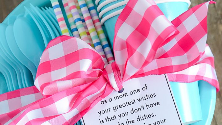 https://www.thecraftpatchblog.com/wp-content/uploads/2019/04/mothers-day-dishes-m-2-TITLE-720x405.jpg