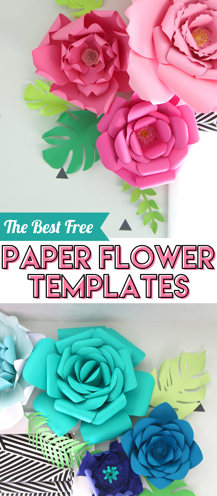 Download Best Free Paper Flower Templates The Craft Patch
