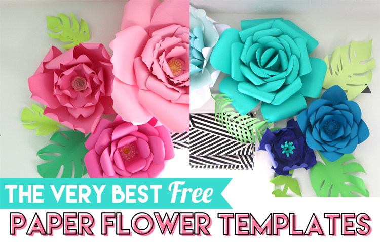 Download Best Free Paper Flower Templates The Craft Patch