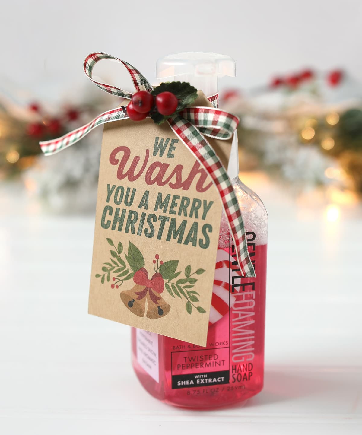 We WASH You A Merry Christmas Gift Idea and Printable Tag