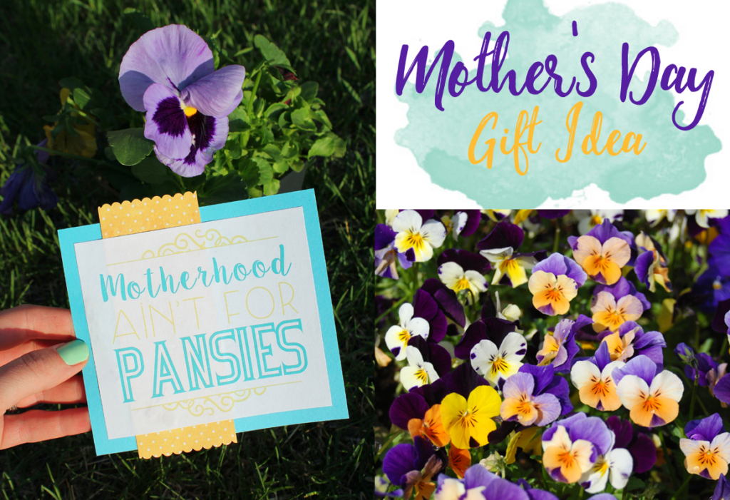 funny mothers day gift with printable card